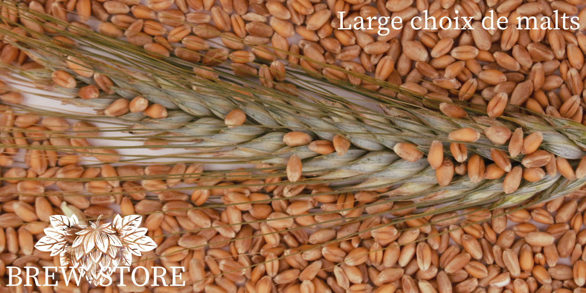 Large choix de malts pour brasser vos bières artisanales
