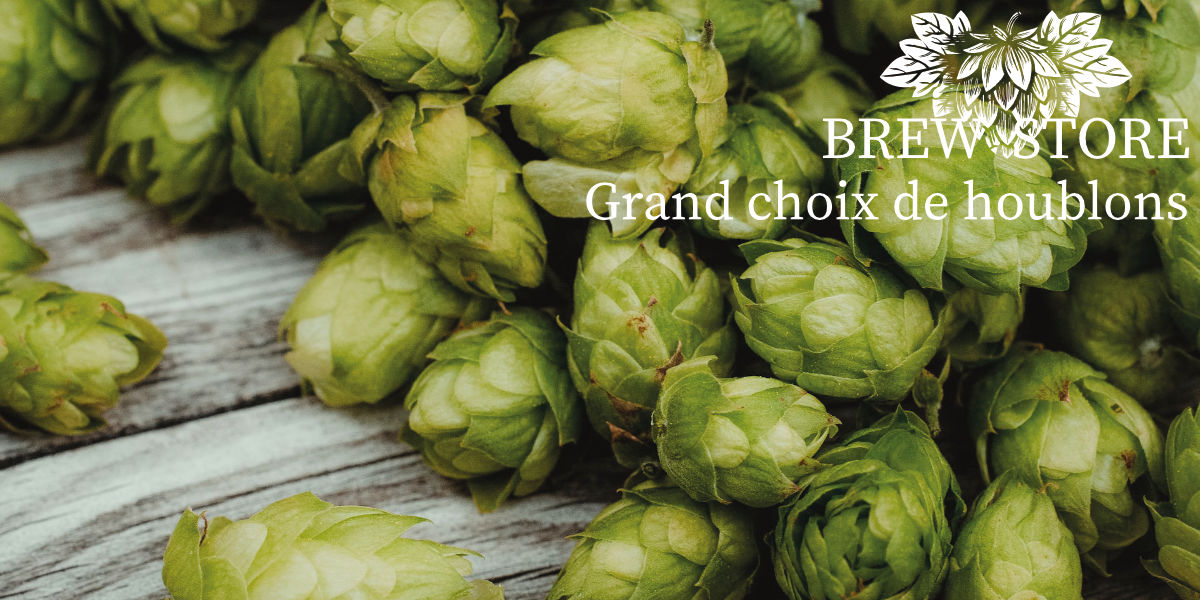 Grand choix de houblons, malts et levures pour fabrication de bière artisanale